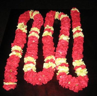 red and yellow mini carnations